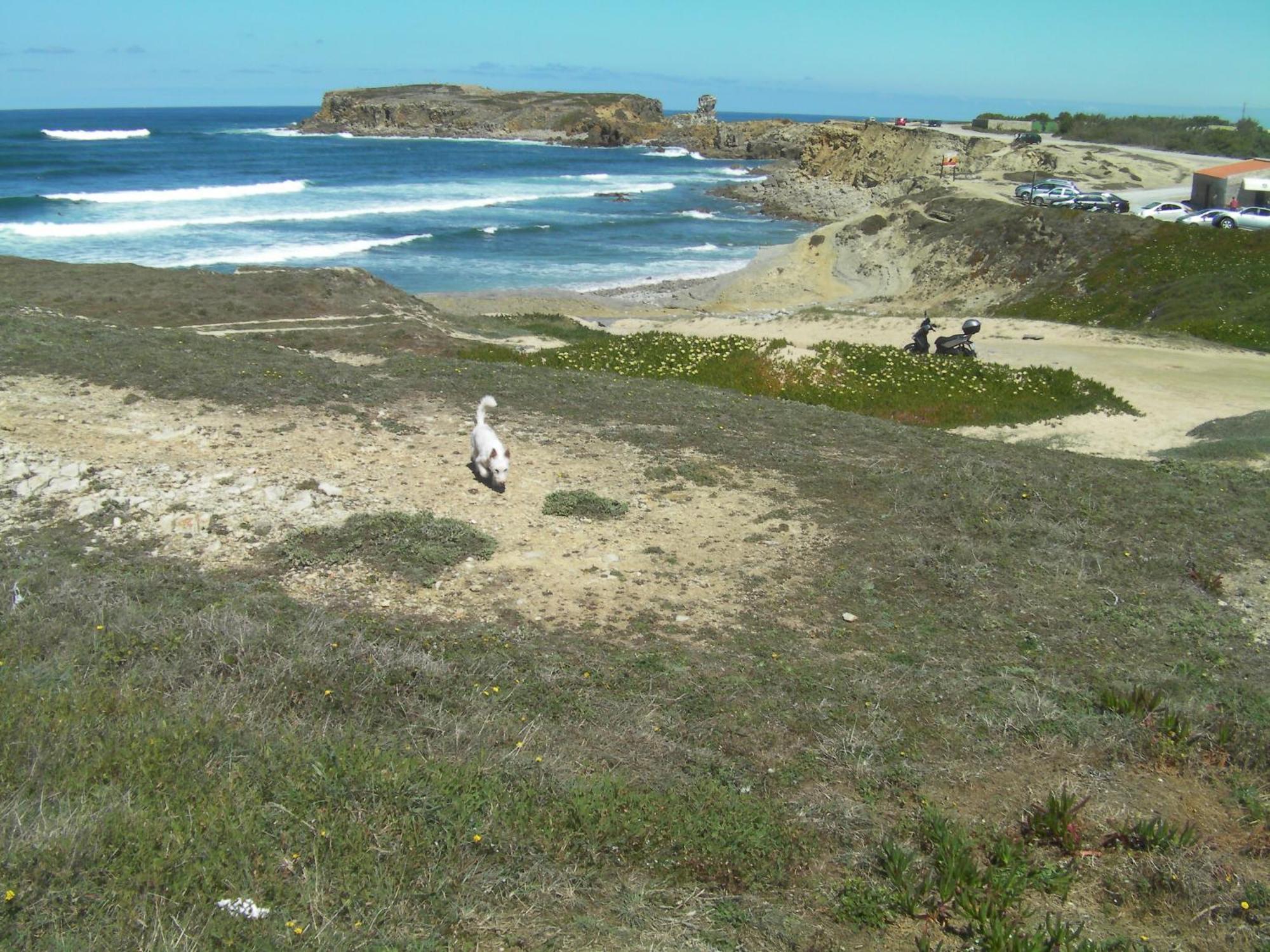 Peniche Surf Lodge 1 ภายนอก รูปภาพ